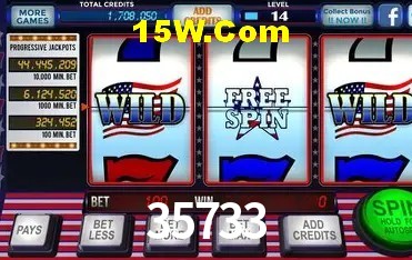 Casino VIP 35733